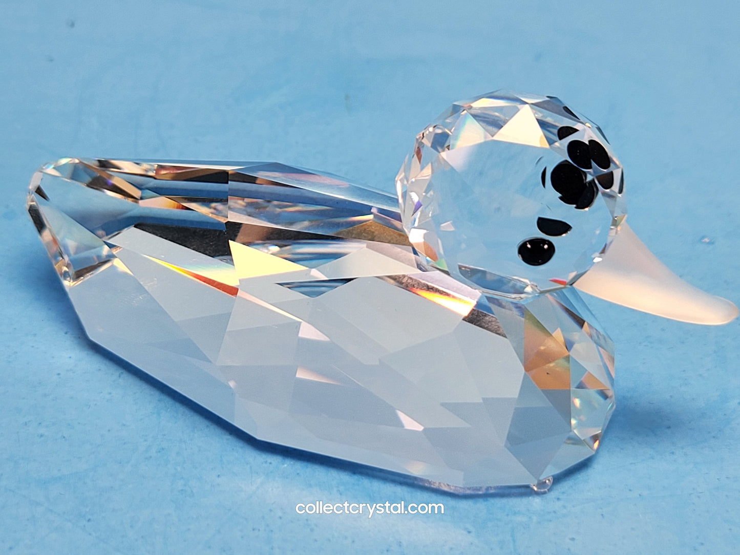 MALLARD DUCK 012723