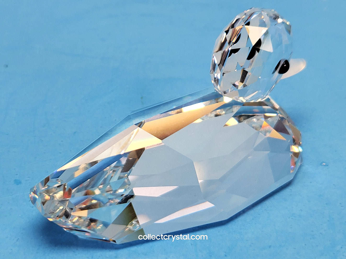 MALLARD DUCK 012723