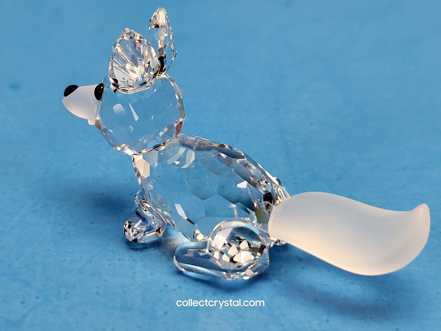 FOX MINI RUNNING / PROWLING 014956