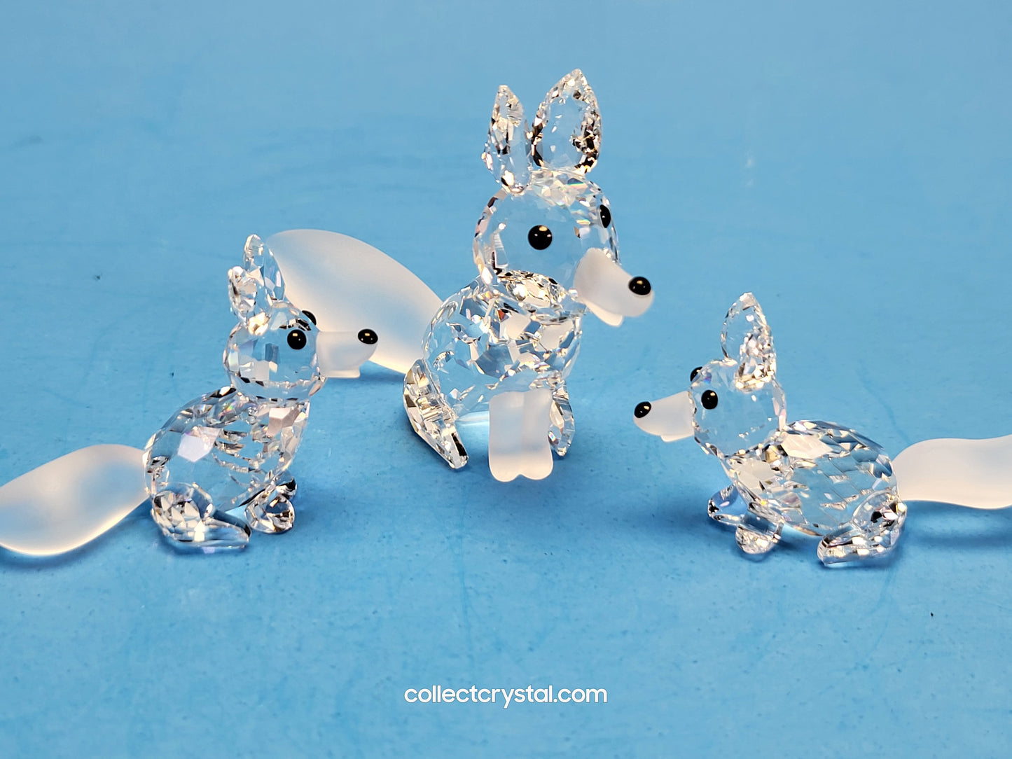 FOX MINI RUNNING / PROWLING 014956