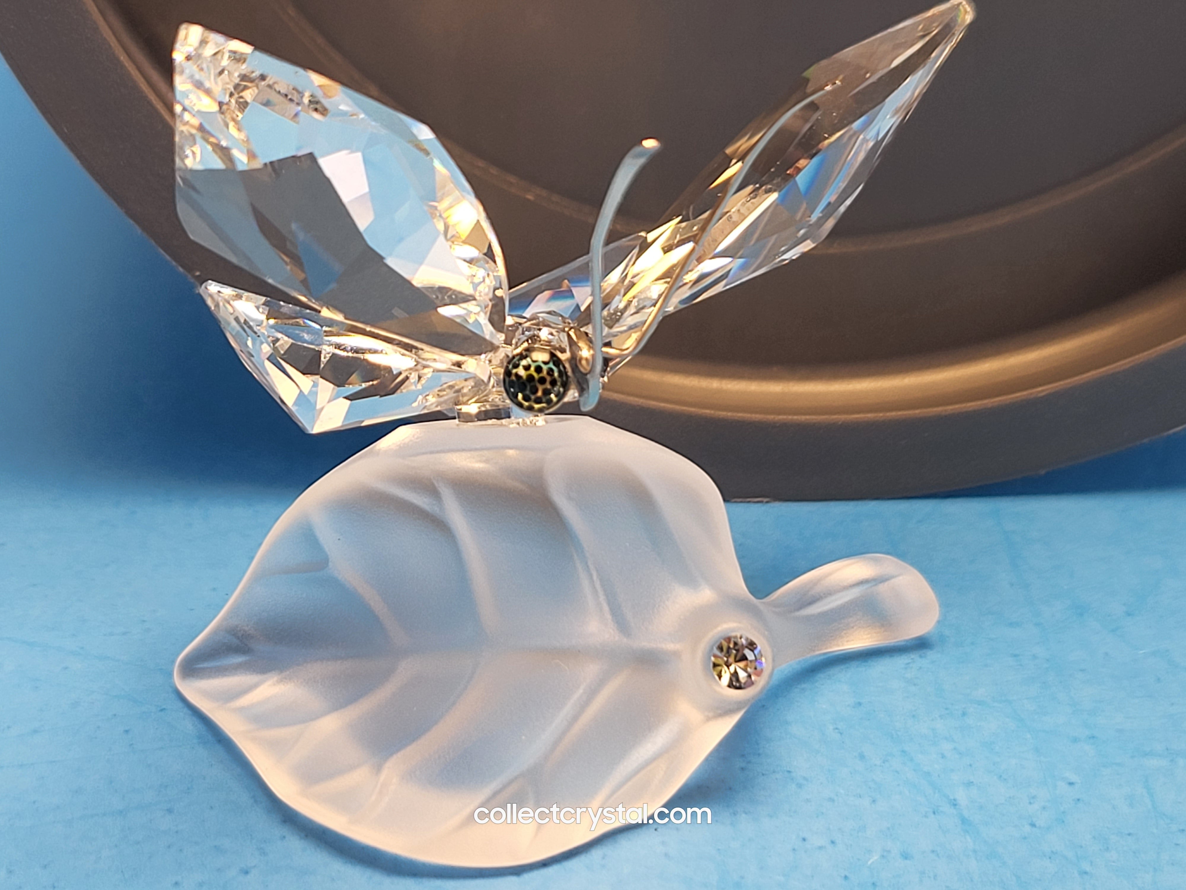 Swarovski Butterfly Flat Back Crystal Mounted on A Platinum Foil