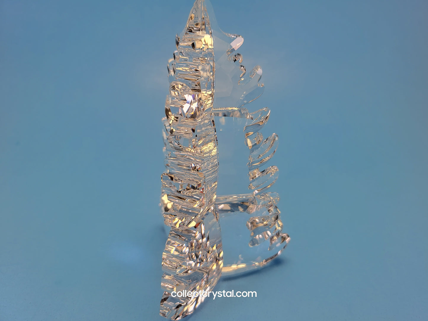 PINE TREE 2019 ISSUED 5464871