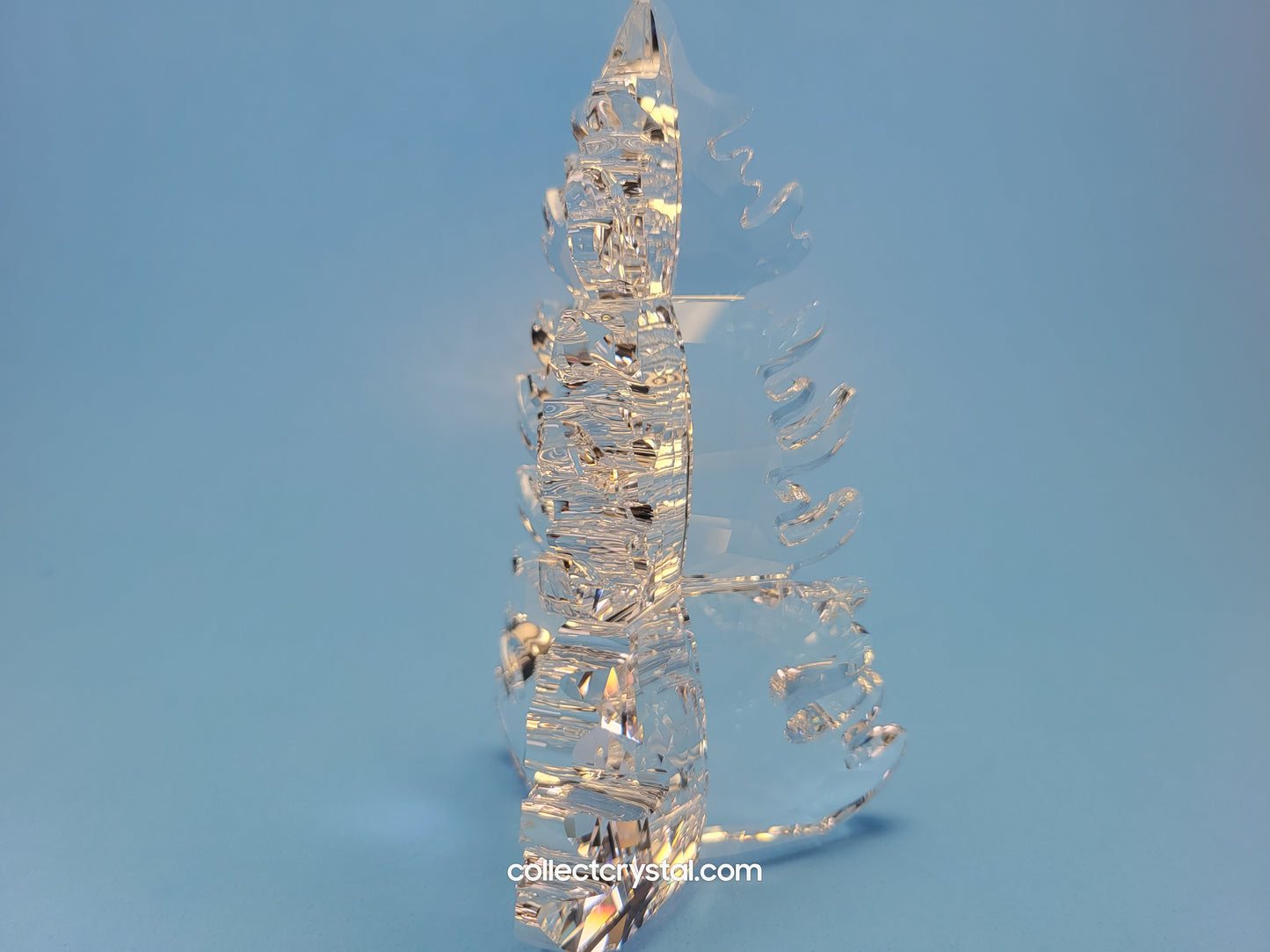 PINE TREE 2019 ISSUED 5464871