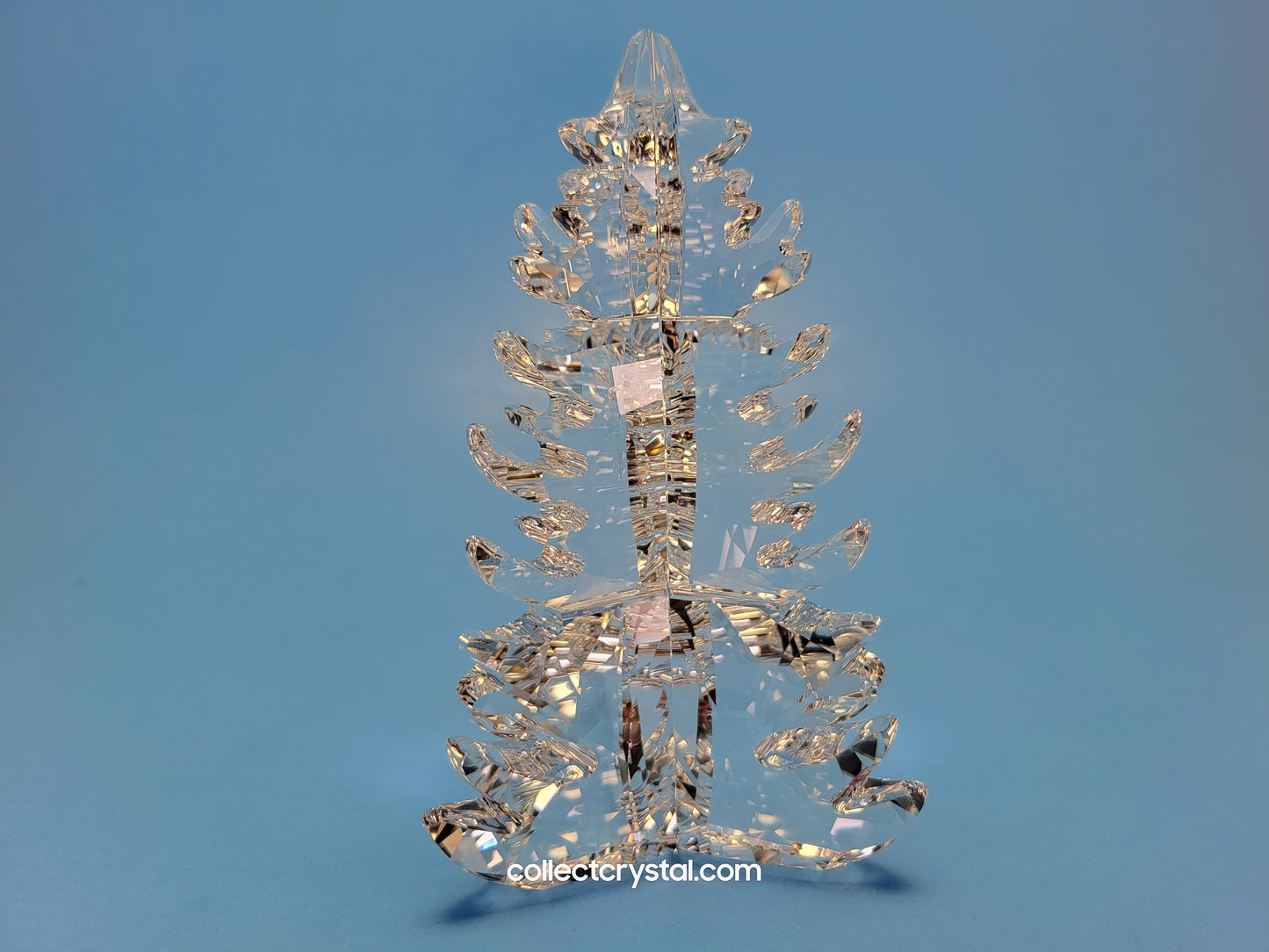 PINE TREE 2019 ISSUED 5464871