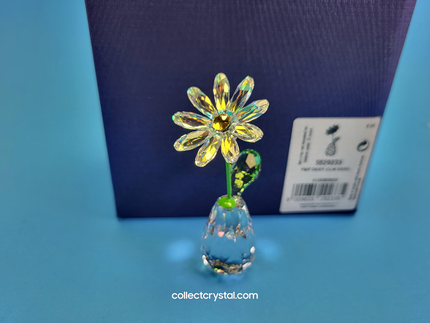 FLOWER DREAMS – DAISY 5254328, 552933