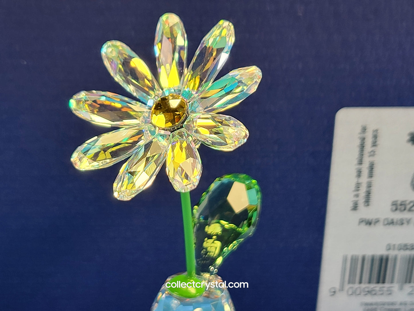 FLOWER DREAMS – DAISY 5254328, 552933
