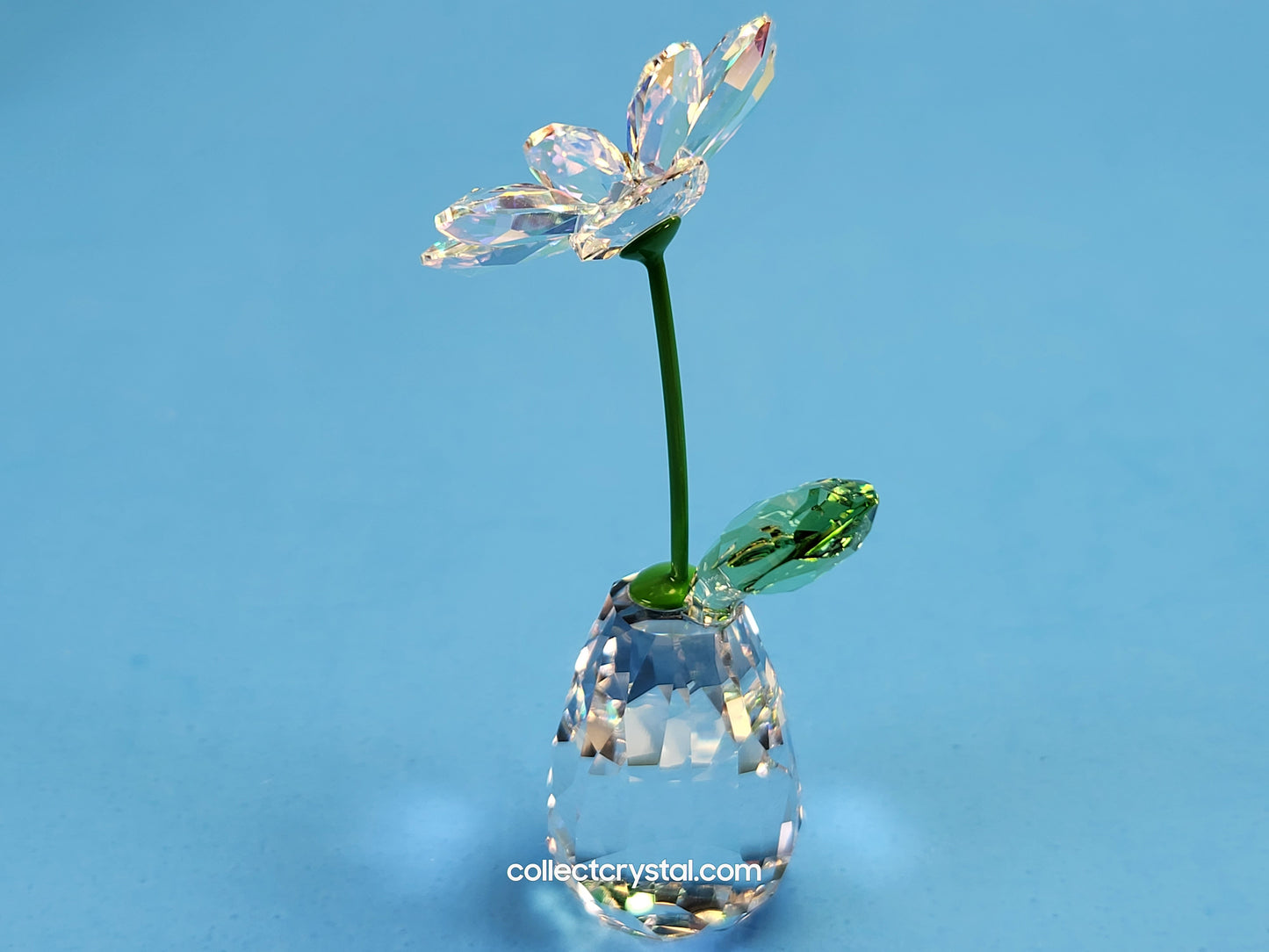 FLOWER DREAMS – DAISY 5254328, 552933