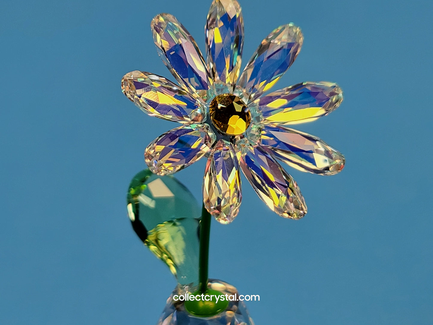 FLOWER DREAMS – DAISY 5254328, 552933