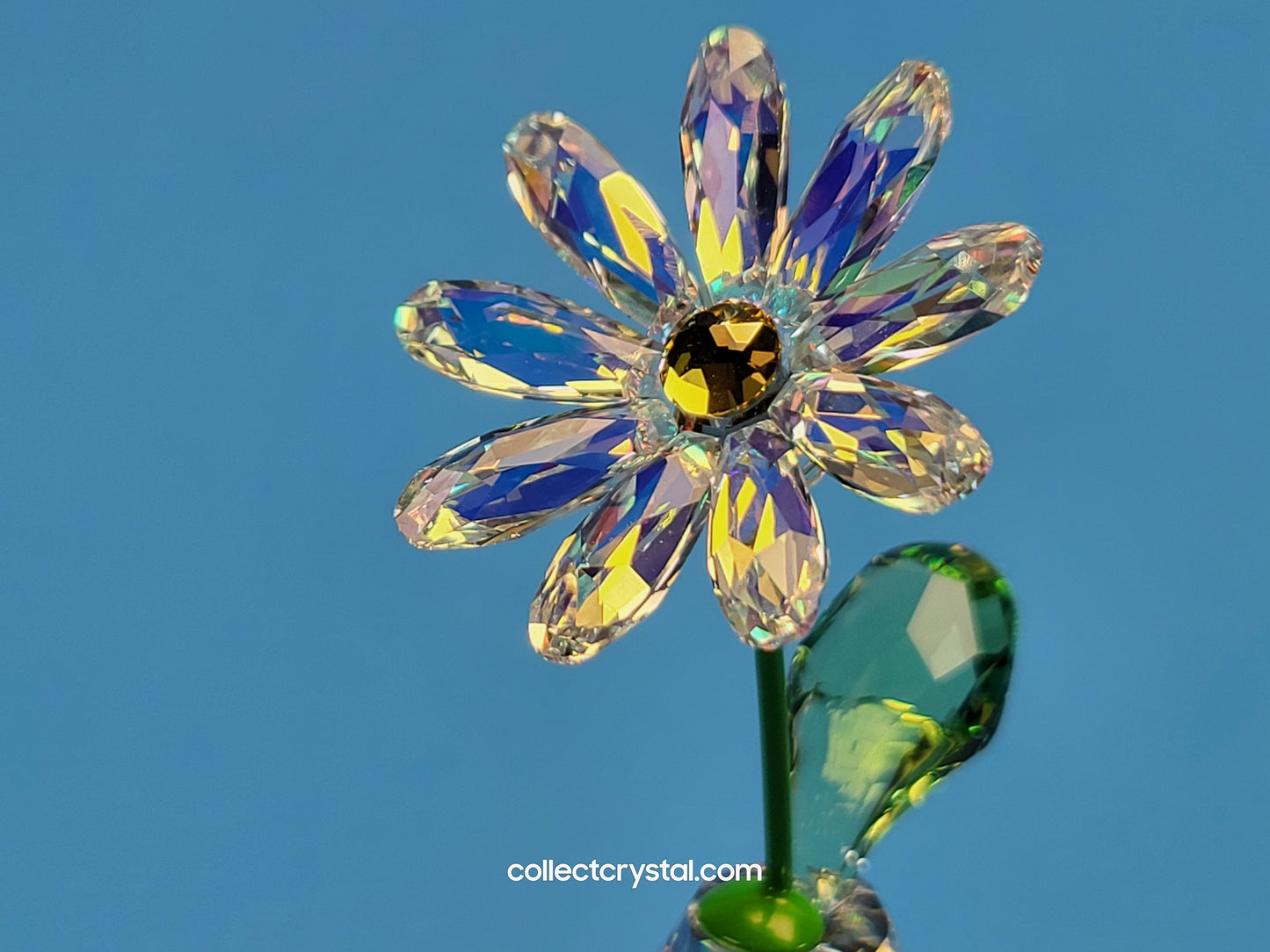 FLOWER DREAMS – DAISY 5254328, 552933