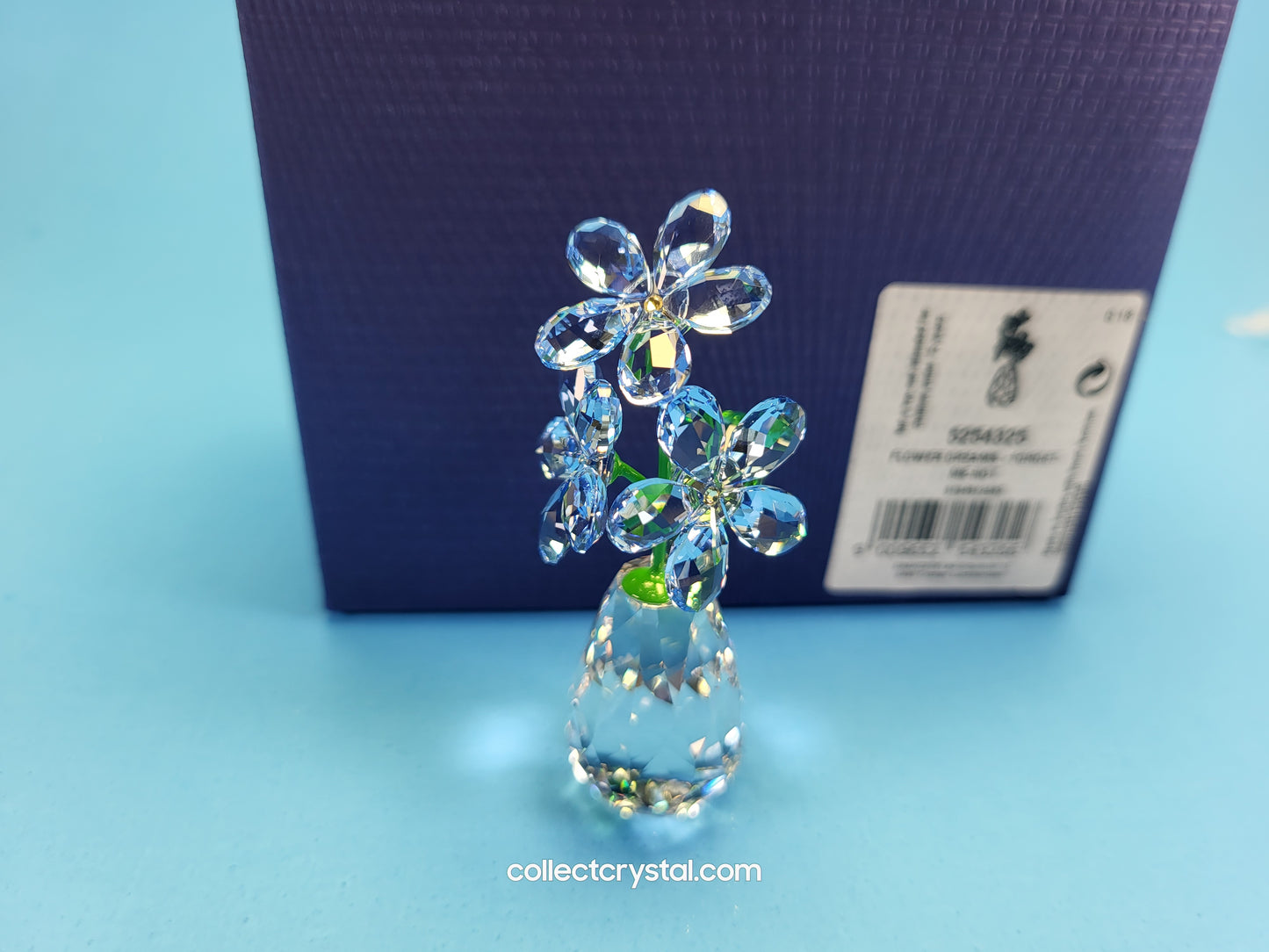 FLOWER DREAMS – FORGET ME NOTS 5254325