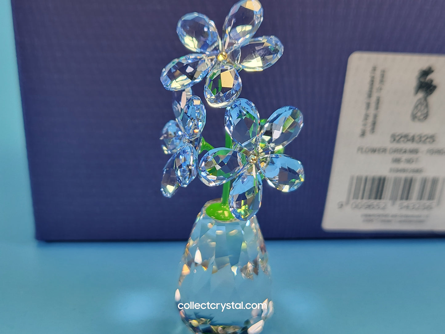 FLOWER DREAMS – FORGET ME NOTS 5254325