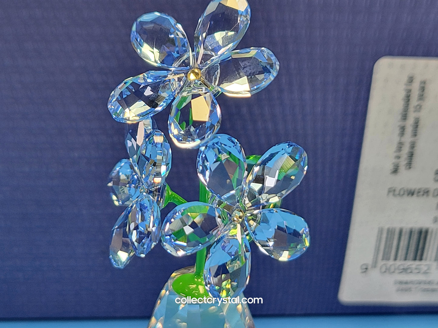 FLOWER DREAMS – FORGET ME NOTS 5254325