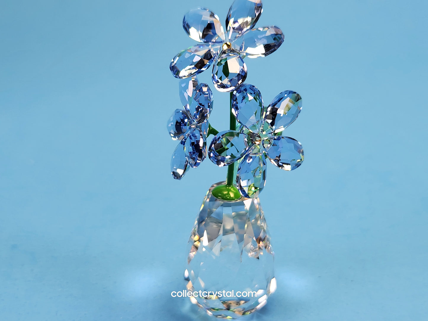 FLOWER DREAMS – FORGET ME NOTS 5254325