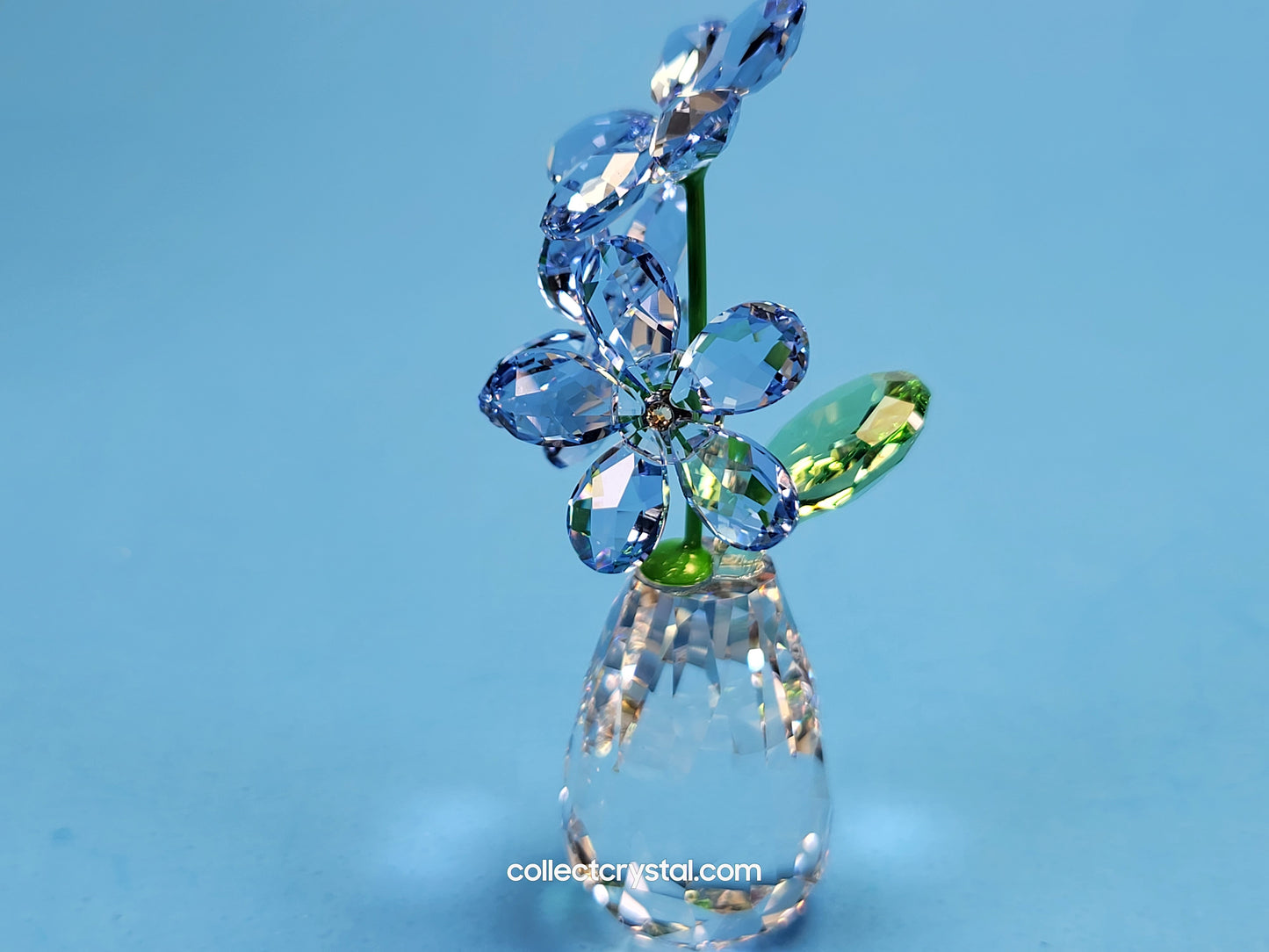 FLOWER DREAMS – FORGET ME NOTS 5254325