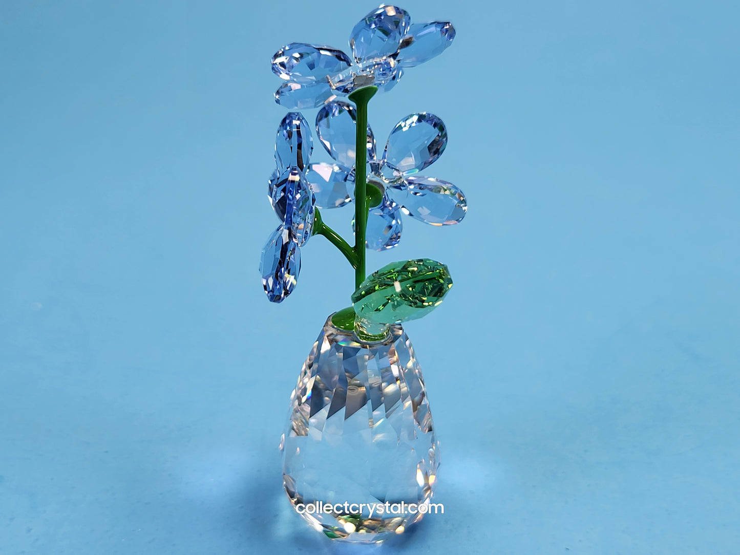 FLOWER DREAMS – FORGET ME NOTS 5254325