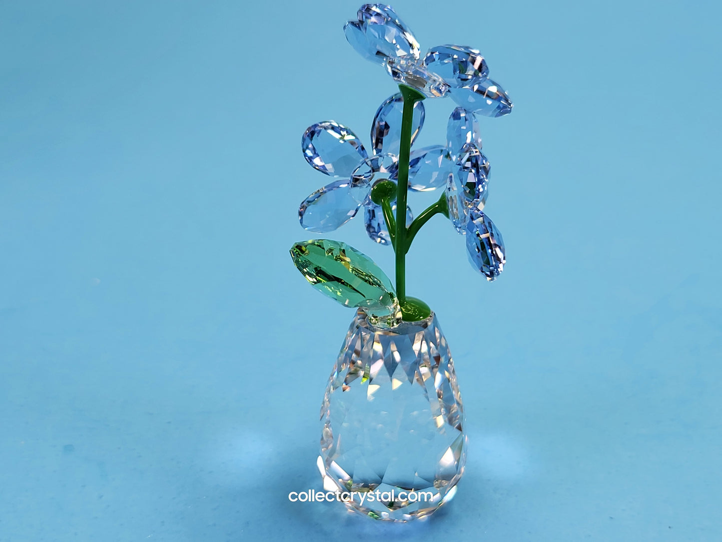 FLOWER DREAMS – FORGET ME NOTS 5254325