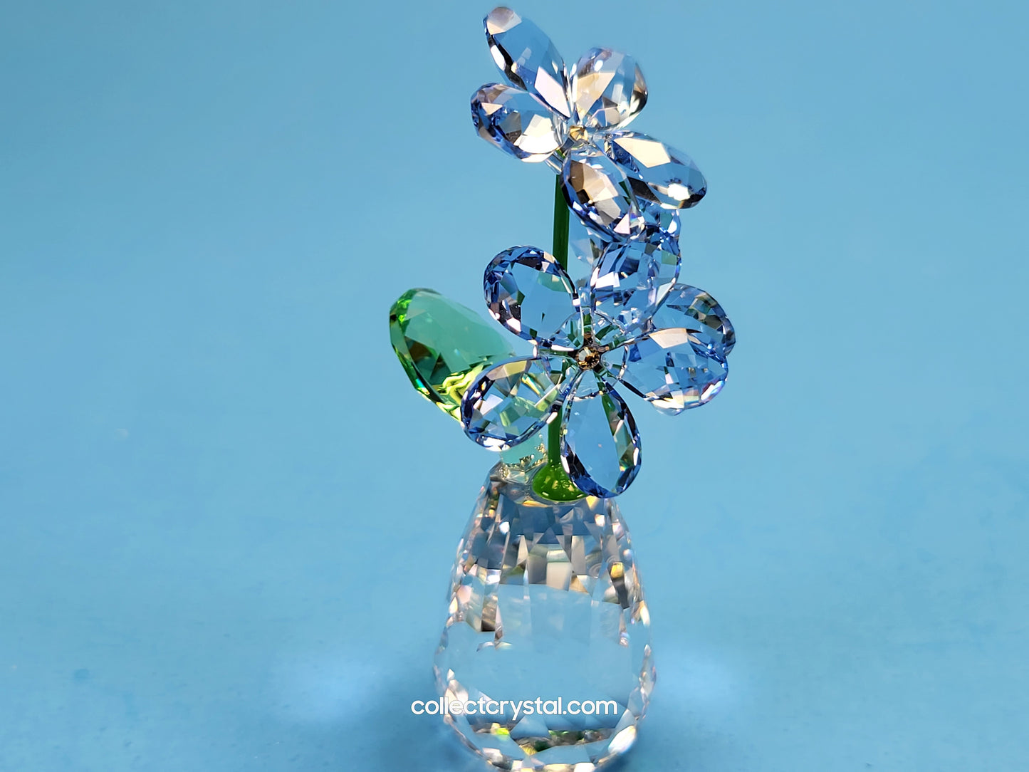 FLOWER DREAMS – FORGET ME NOTS 5254325