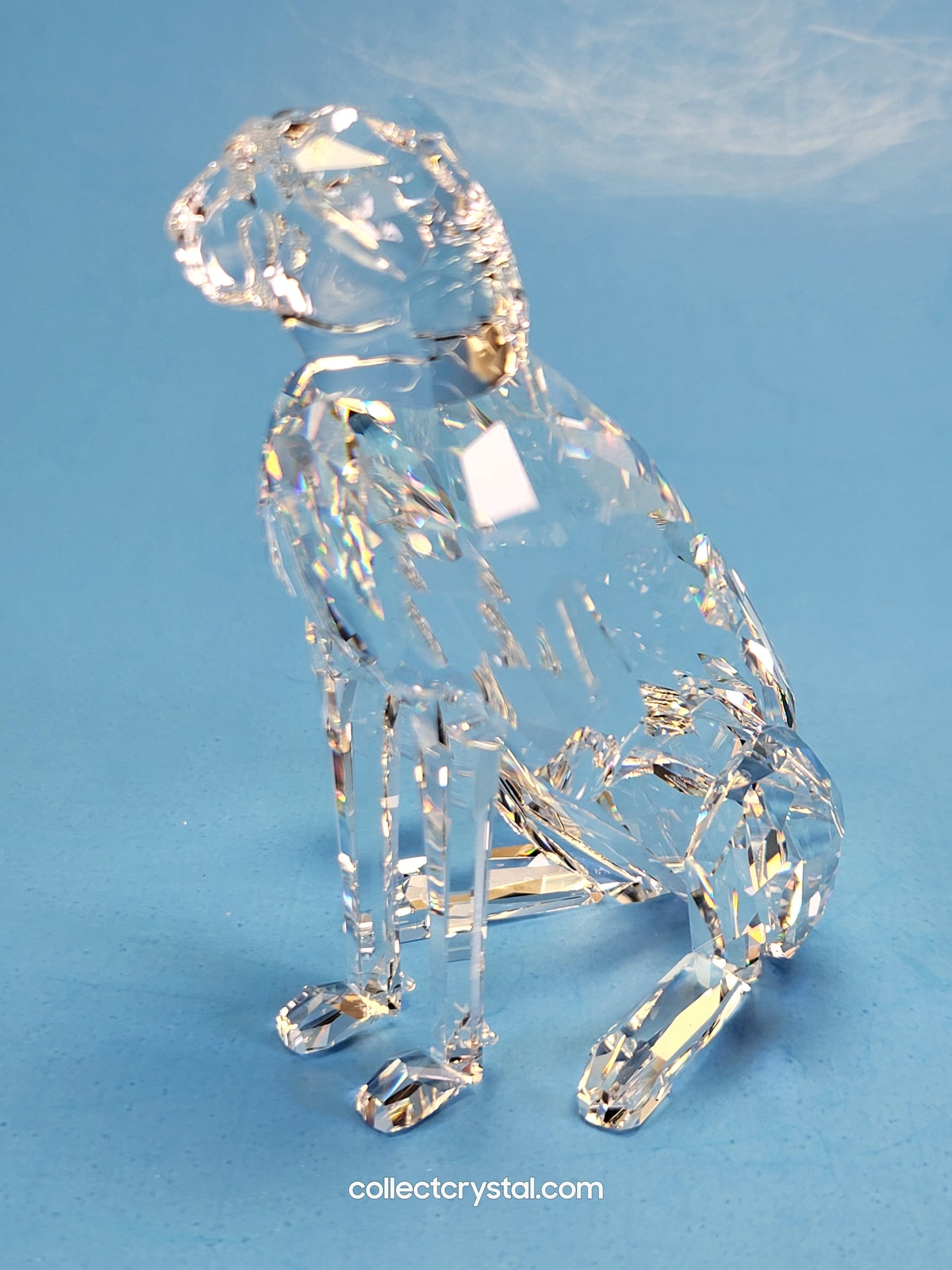 CHEETAH (VARIATION 1) – LOW TAIL 183225