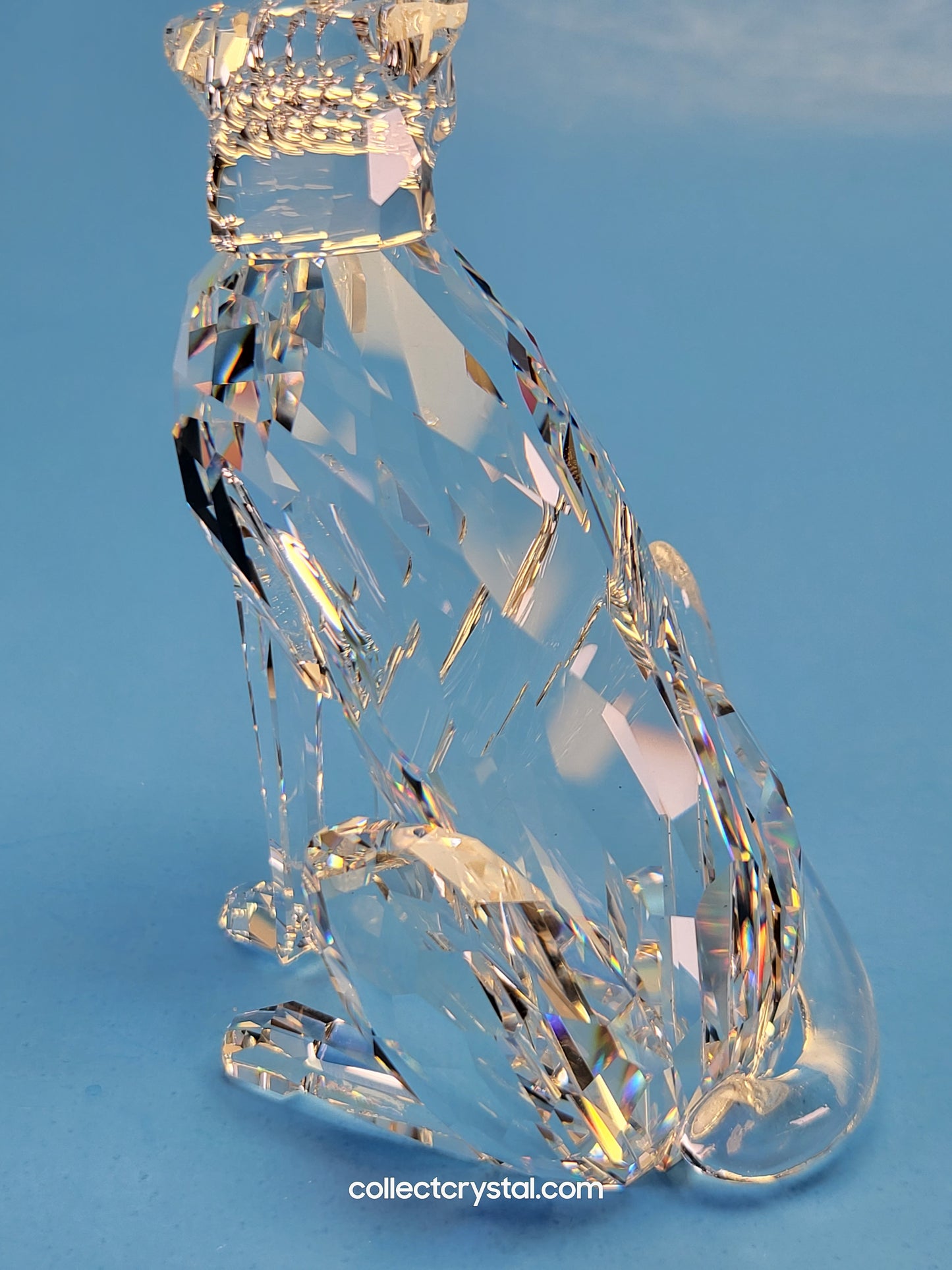 CHEETAH (VARIATION 1) – LOW TAIL 183225