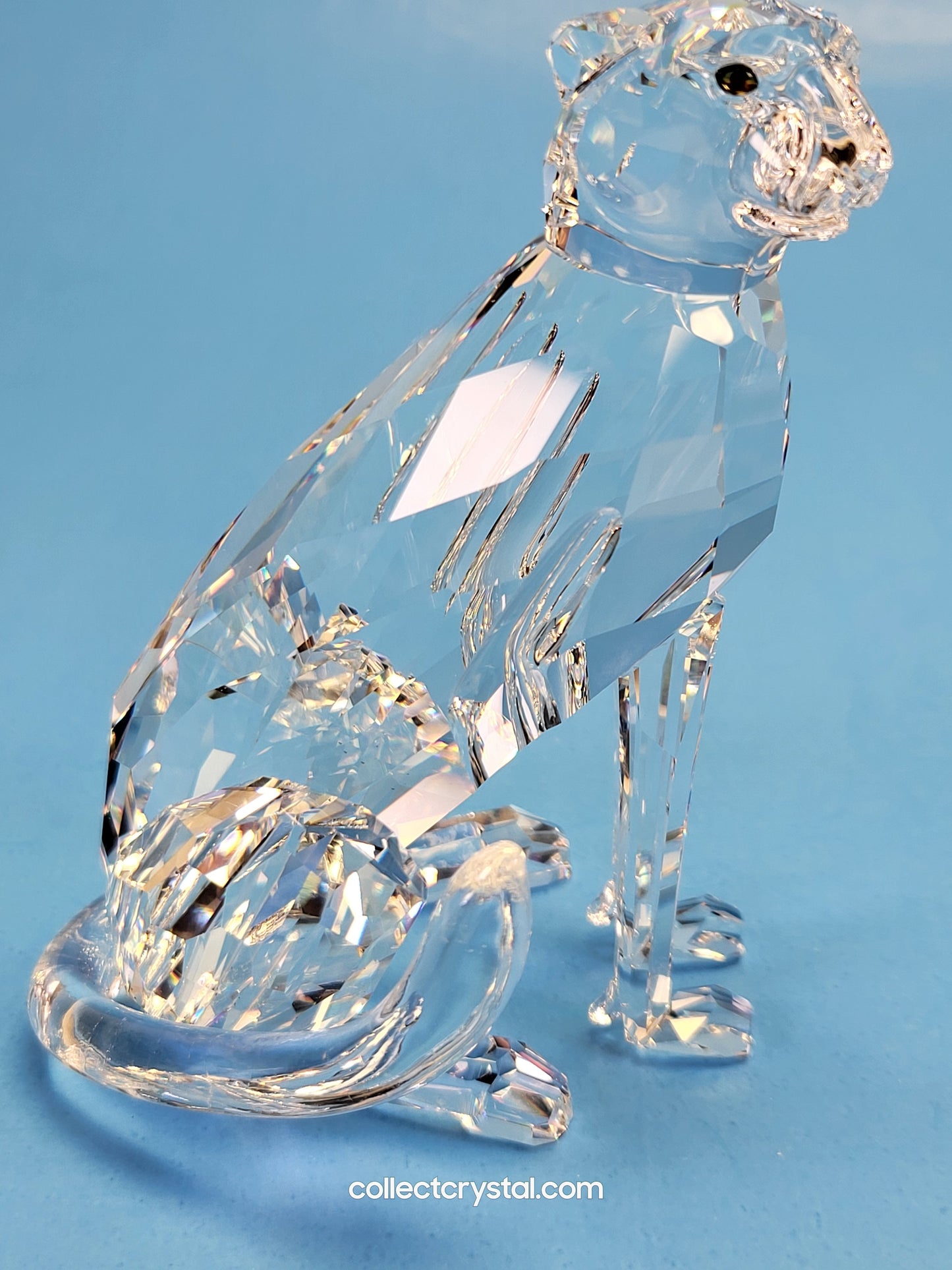 CHEETAH (VARIATION 1) – LOW TAIL 183225