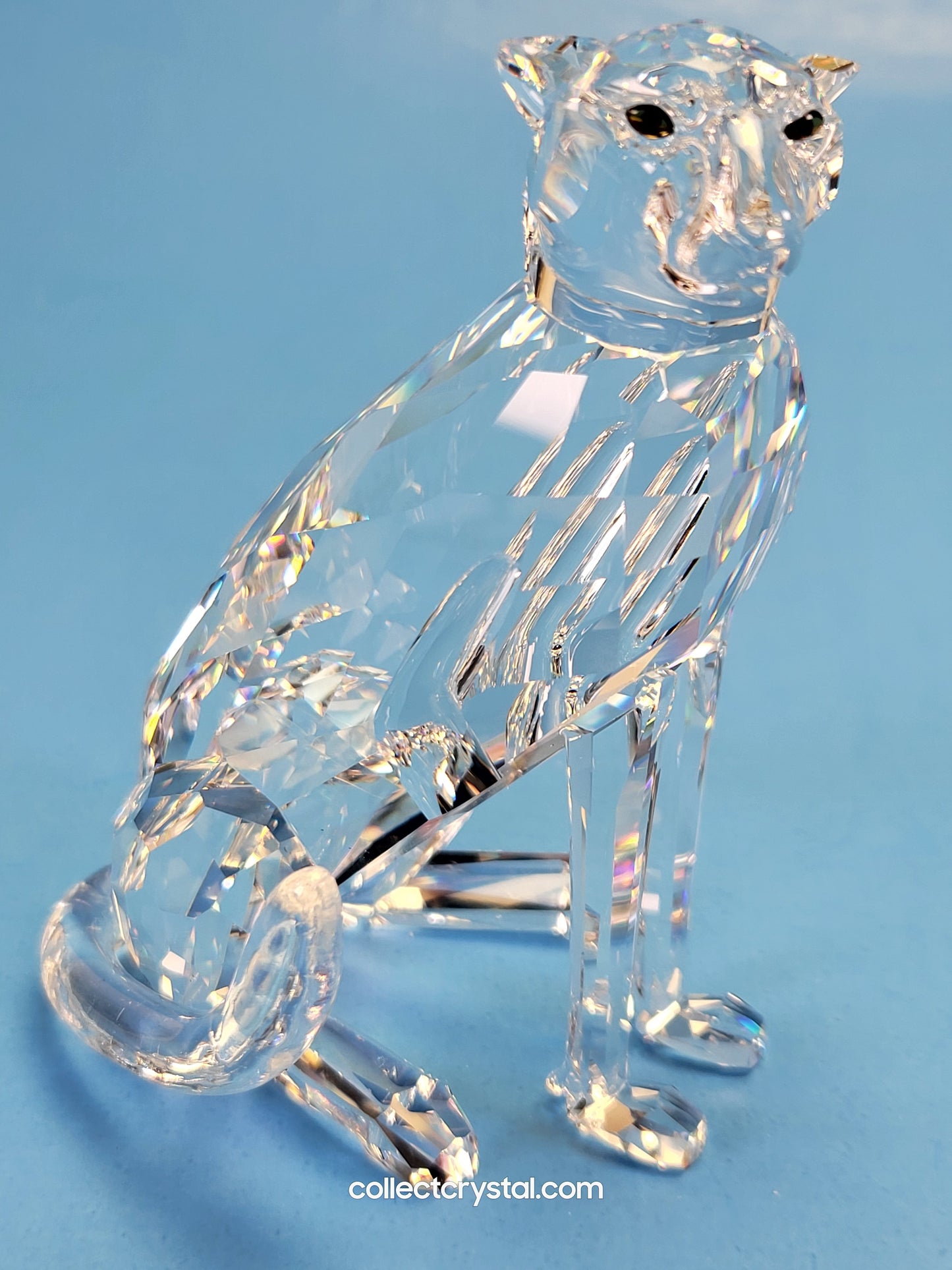 CHEETAH (VARIATION 1) – LOW TAIL 183225