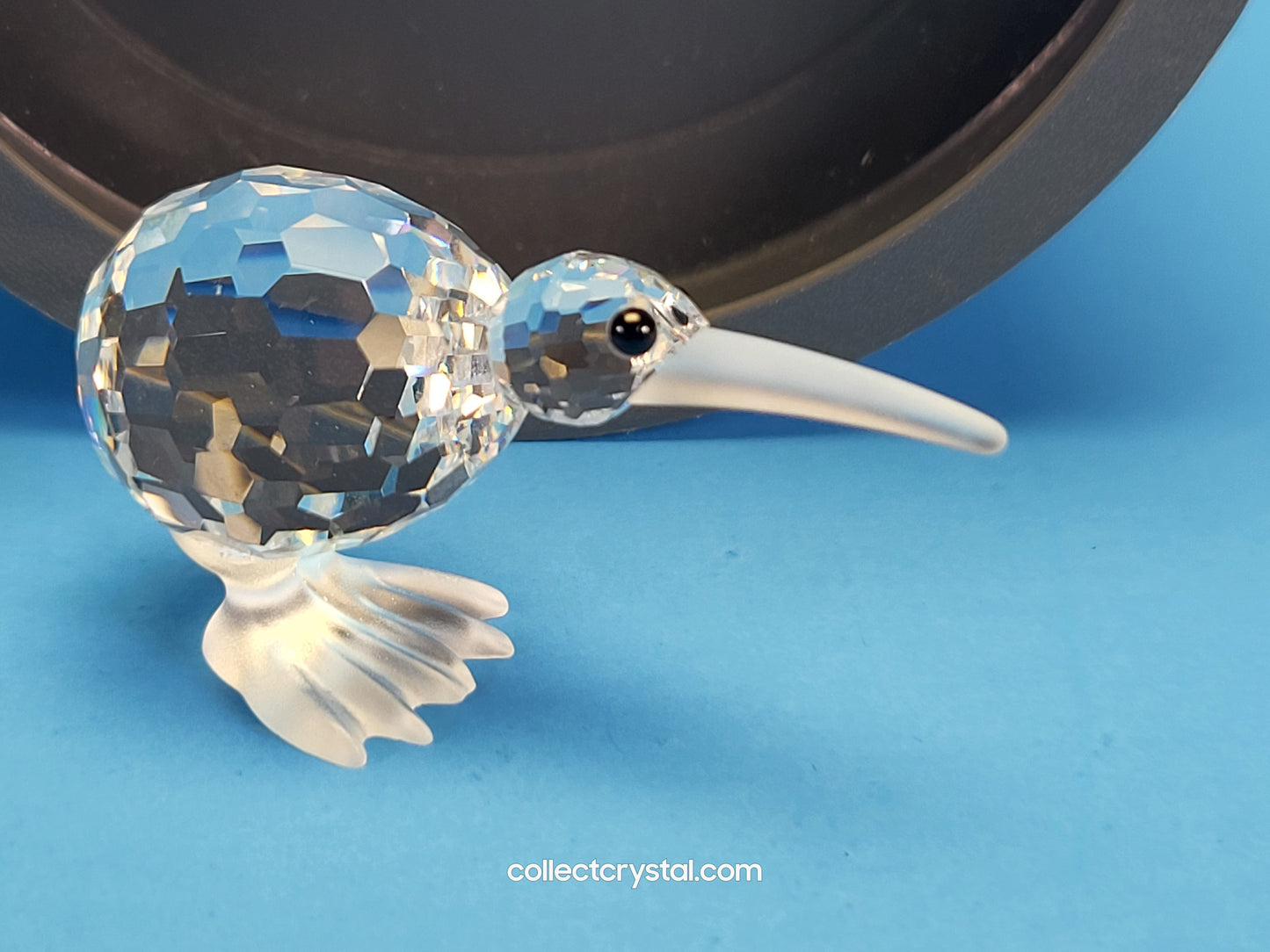 KIWI Bird # 160797