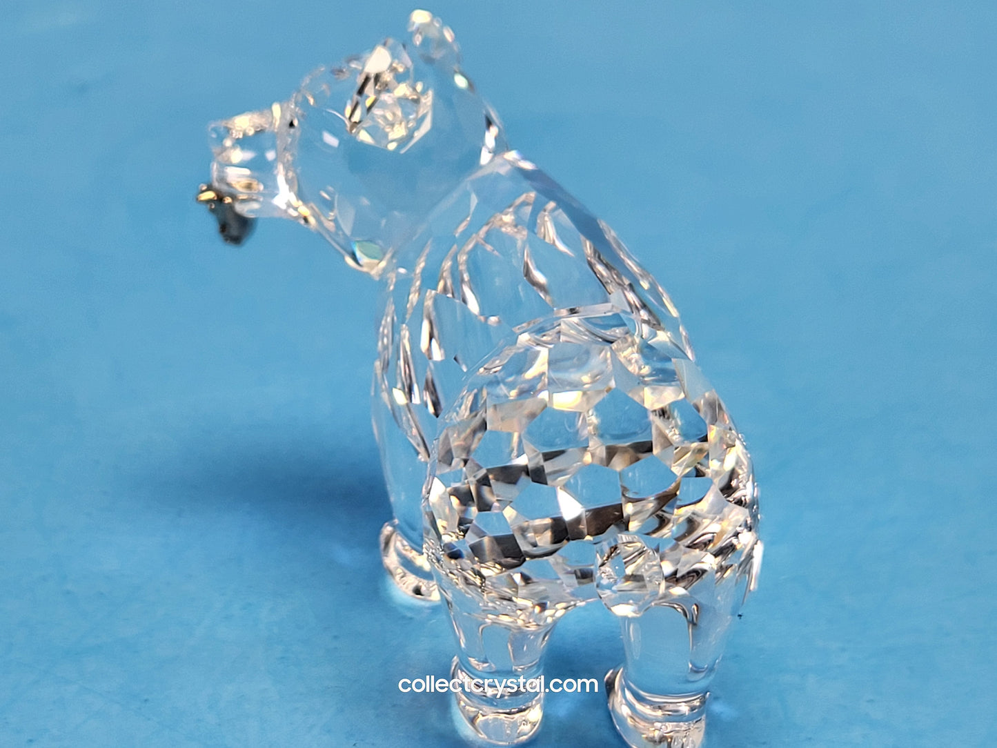 SWAROVSKI GRIZZLY CUB 261925