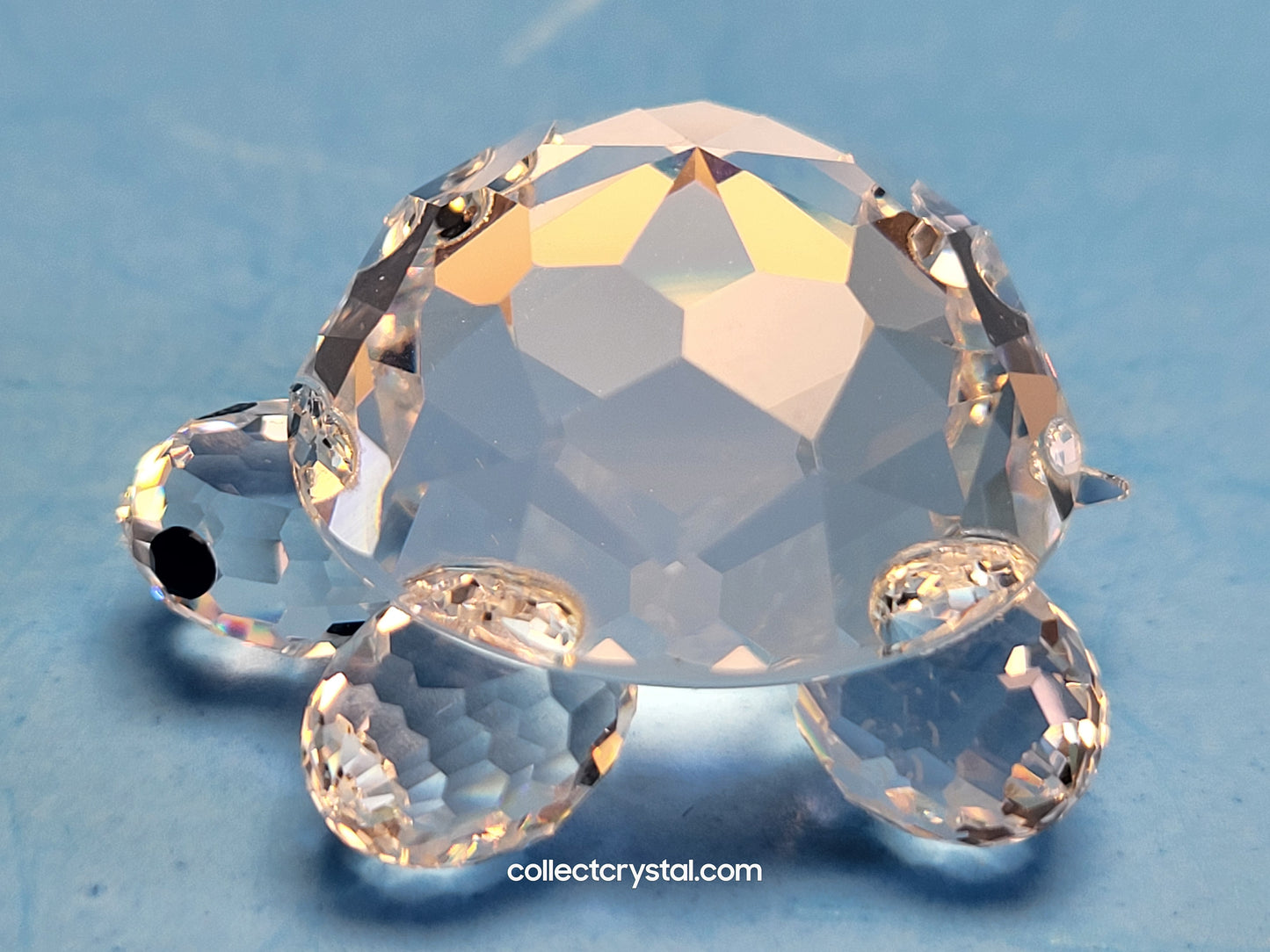 TURTLE / TORTOISE SMALL 010033