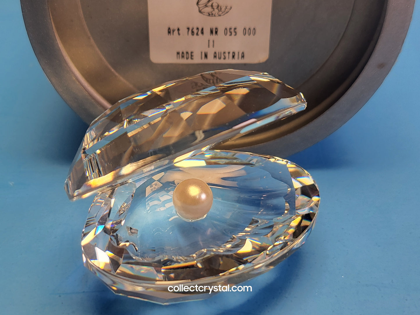 SHELL WITH PEARL / CLAM OYSTER SEASHELL # 014389