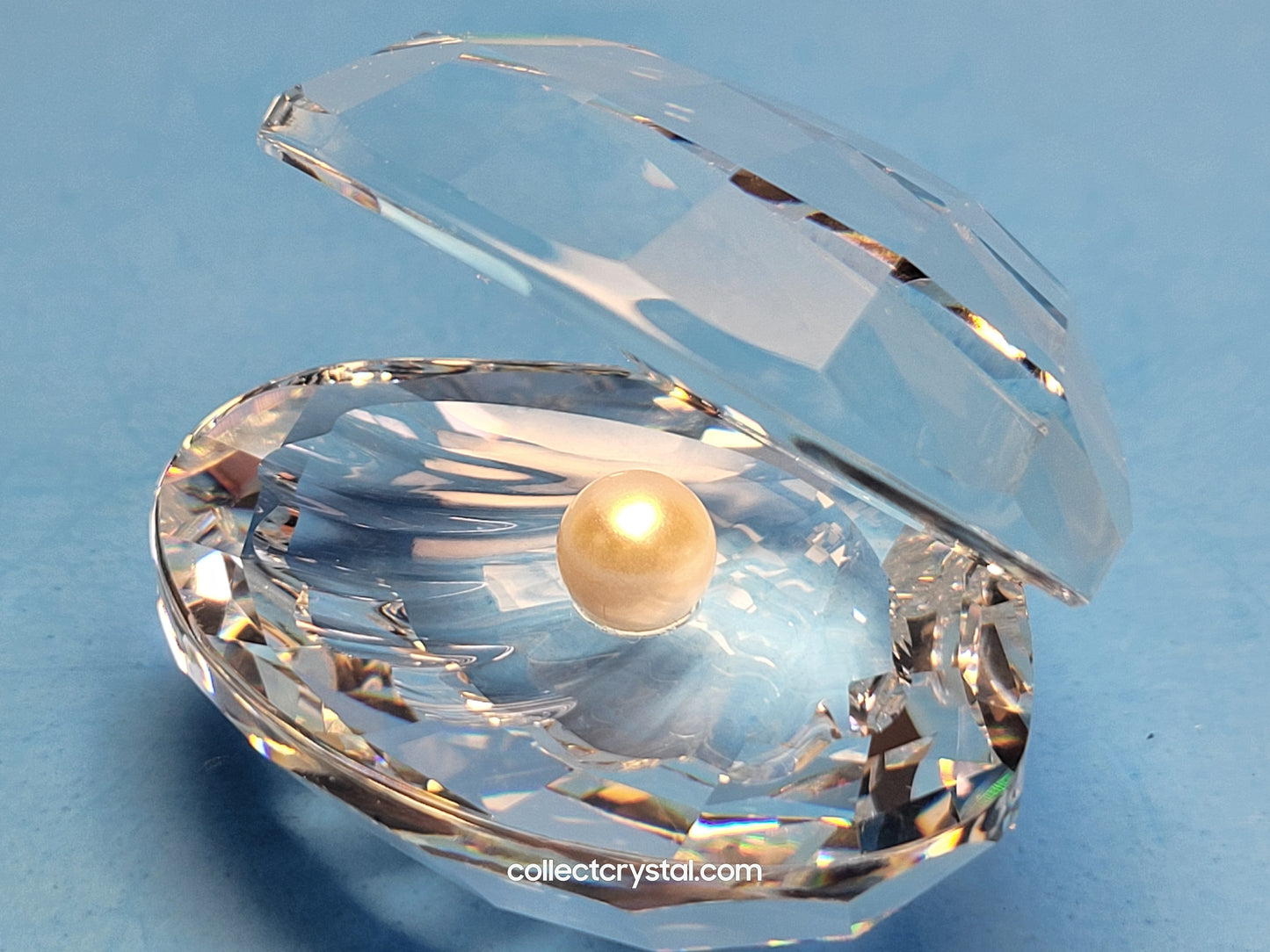 SHELL WITH PEARL / CLAM OYSTER SEASHELL # 014389