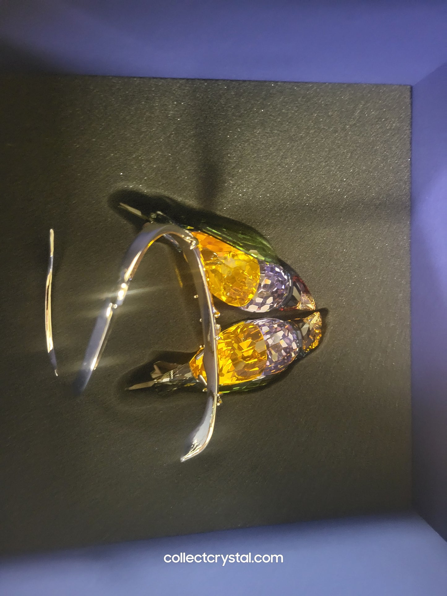 PARADISE BIRDS GOULDIAN FINCHES 1141675