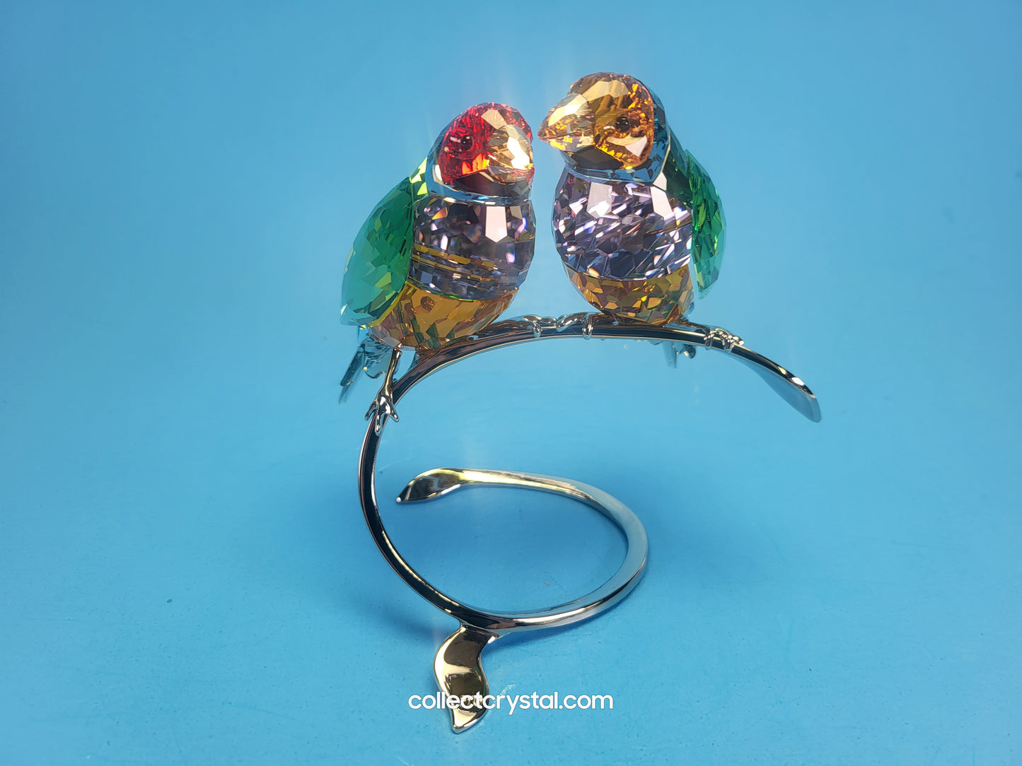 PARADISE BIRDS GOULDIAN FINCHES 1141675