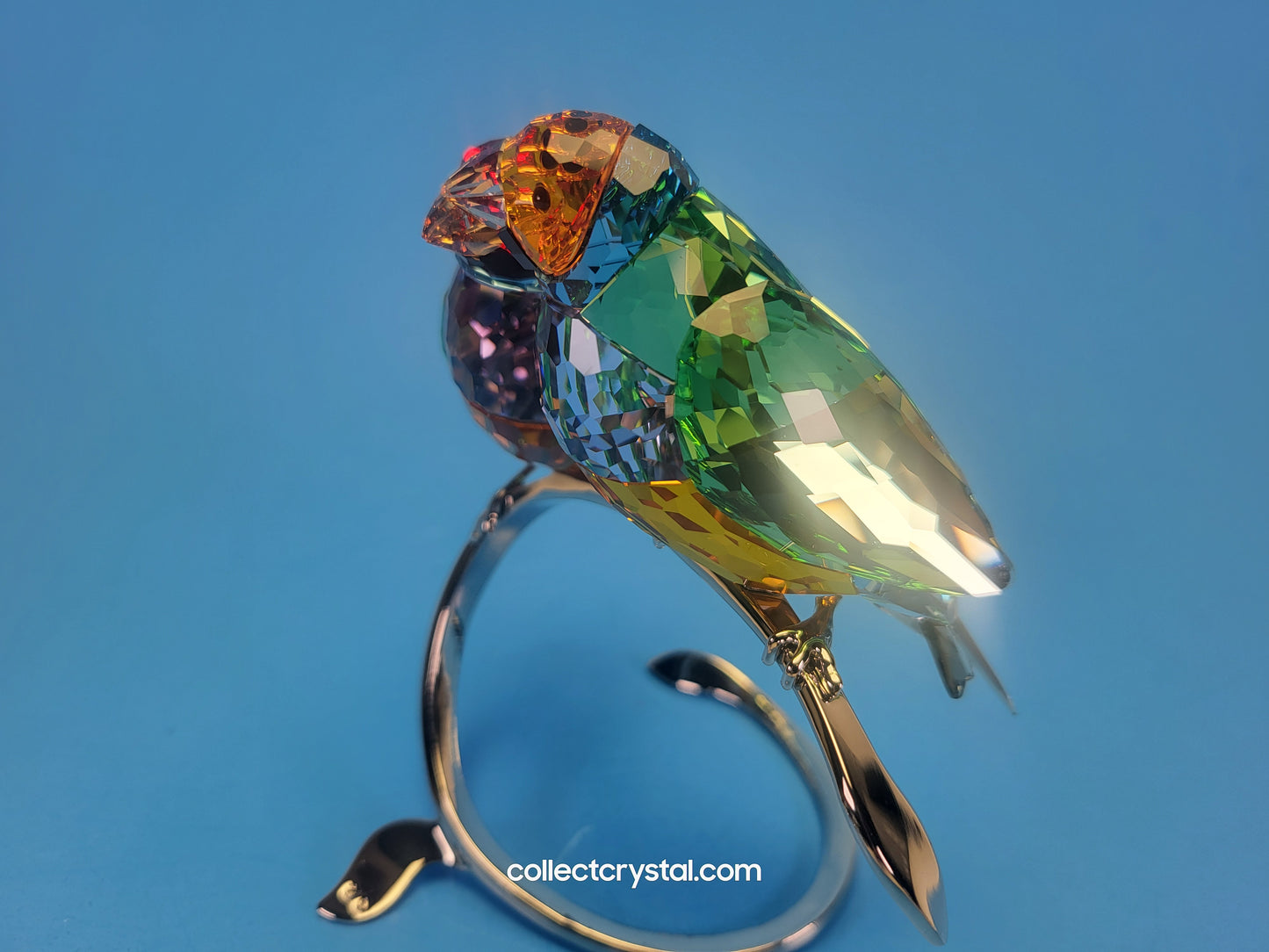 PARADISE BIRDS GOULDIAN FINCHES 1141675