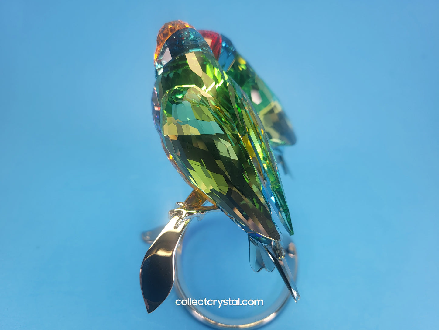 PARADISE BIRDS GOULDIAN FINCHES 1141675