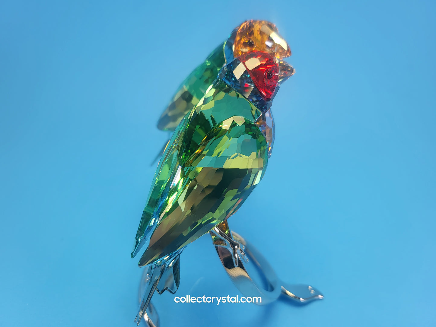 PARADISE BIRDS GOULDIAN FINCHES 1141675