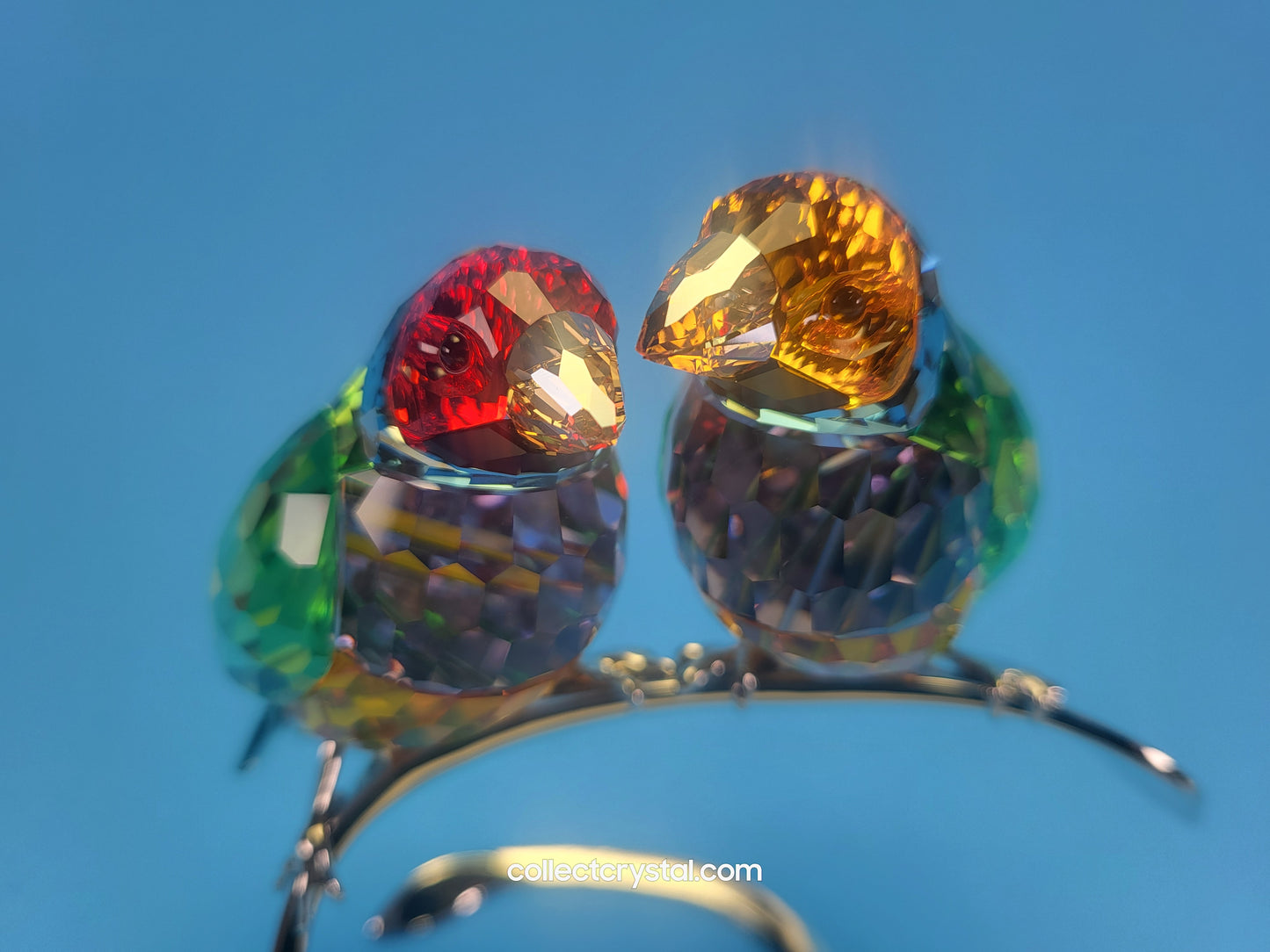 PARADISE BIRDS GOULDIAN FINCHES 1141675