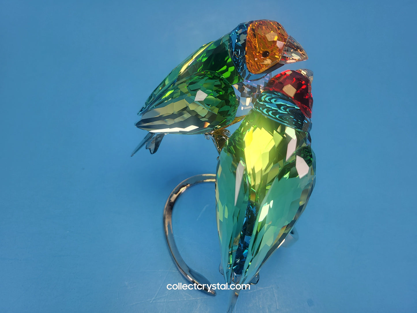 PARADISE BIRDS GOULDIAN FINCHES 1141675