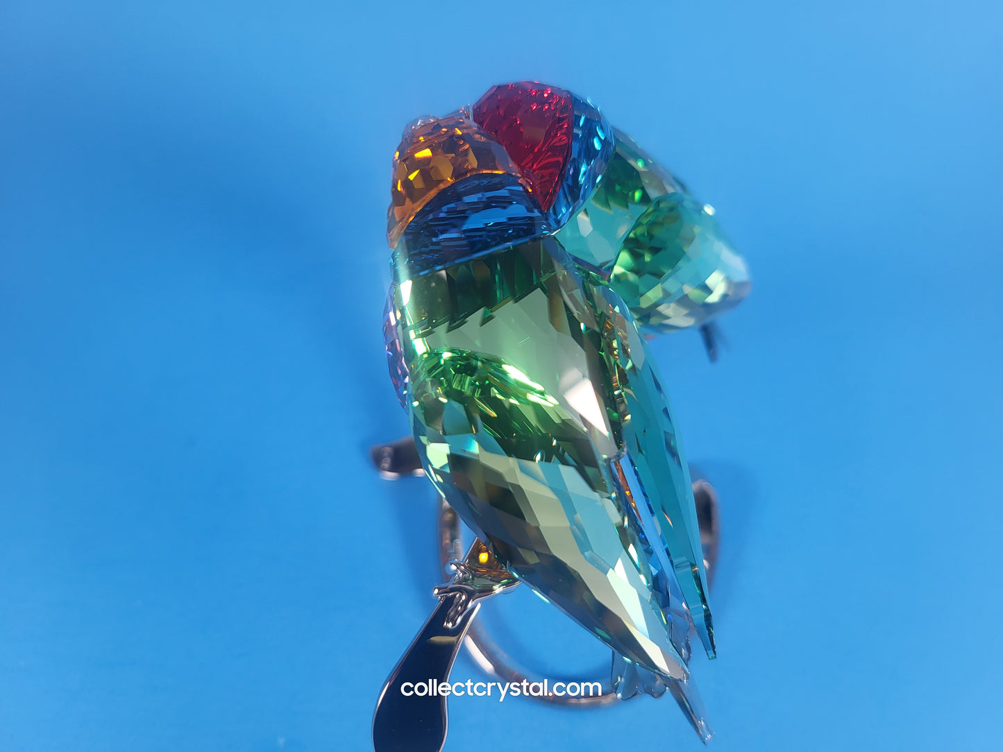PARADISE BIRDS GOULDIAN FINCHES 1141675