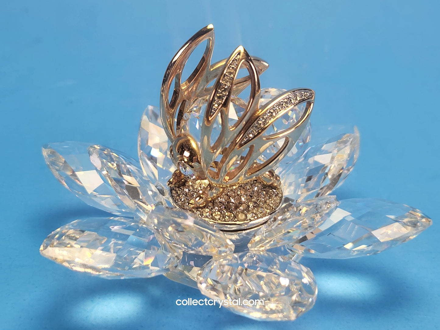 IN FLIGHT BEE GOLD – USA 7553NR100