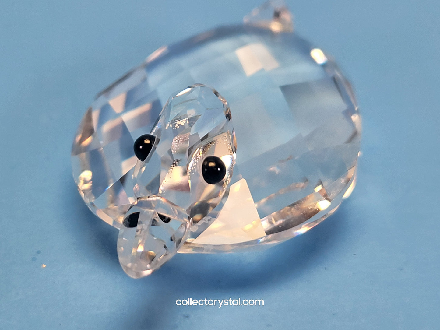 SWAROVSKI DUCK MEDIUM USA / CANADA ISSUED ONLY 7653 NR 055 000