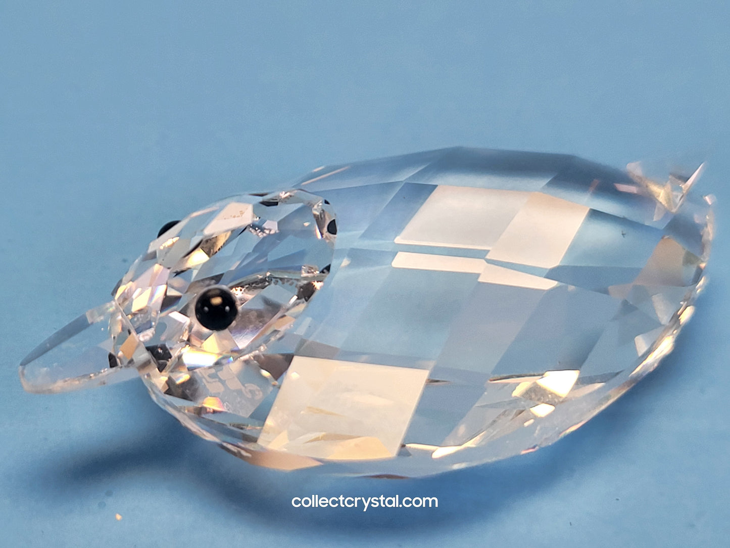 SWAROVSKI DUCK MEDIUM USA / CANADA ISSUED ONLY 7653 NR 055 000
