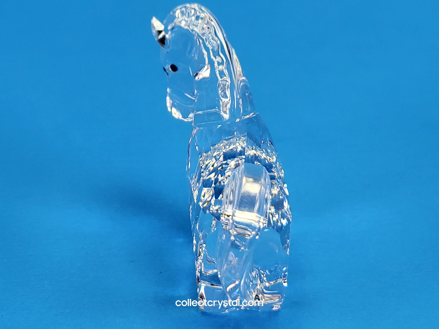 ZODIAC HORSE 289908