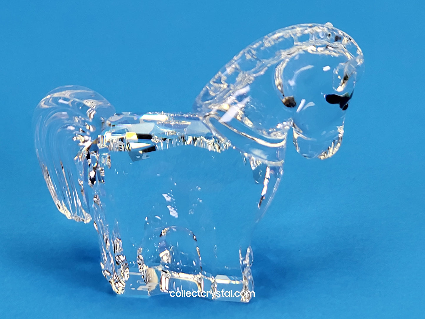 ZODIAC HORSE 289908
