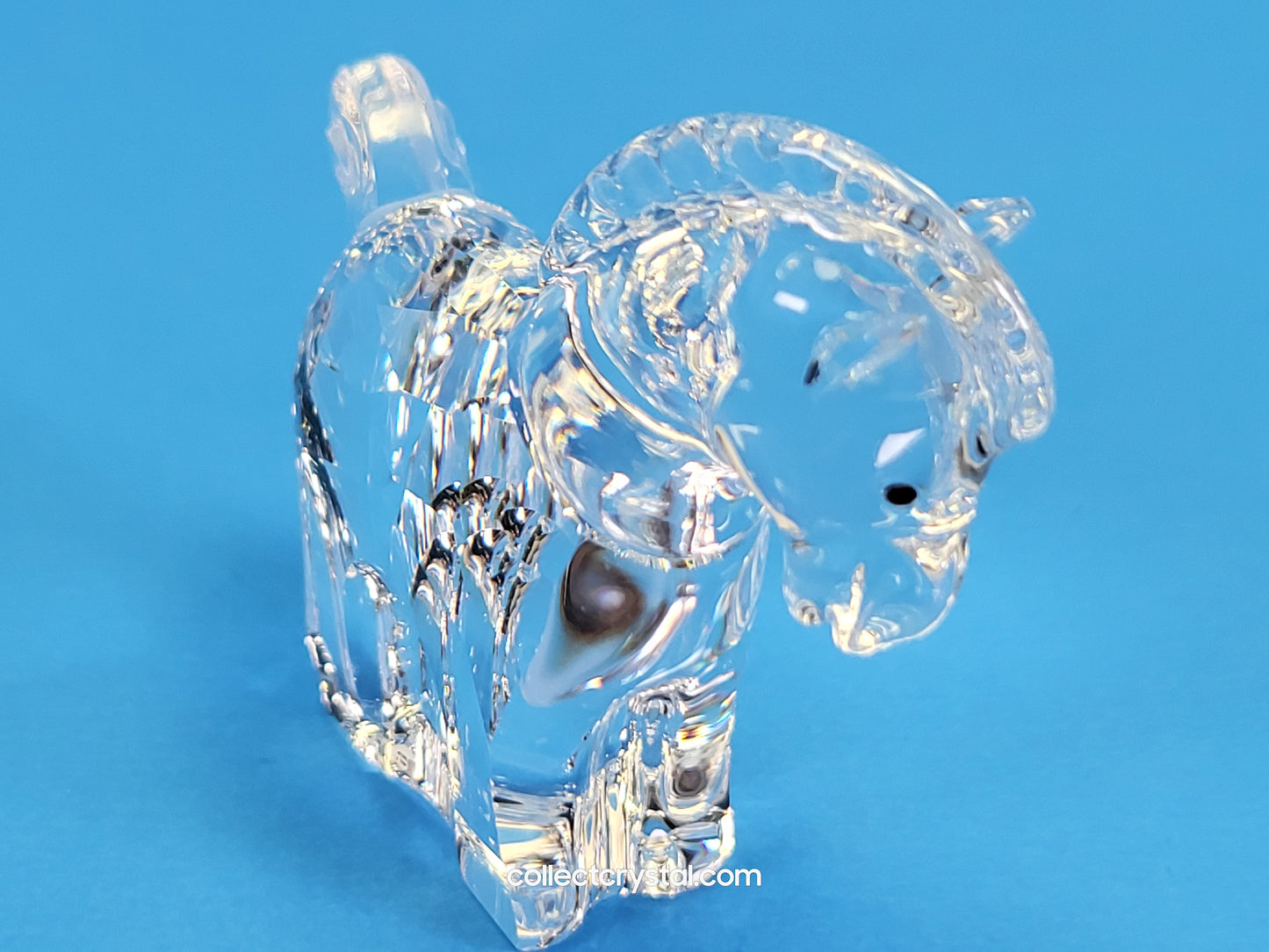 ZODIAC HORSE 289908