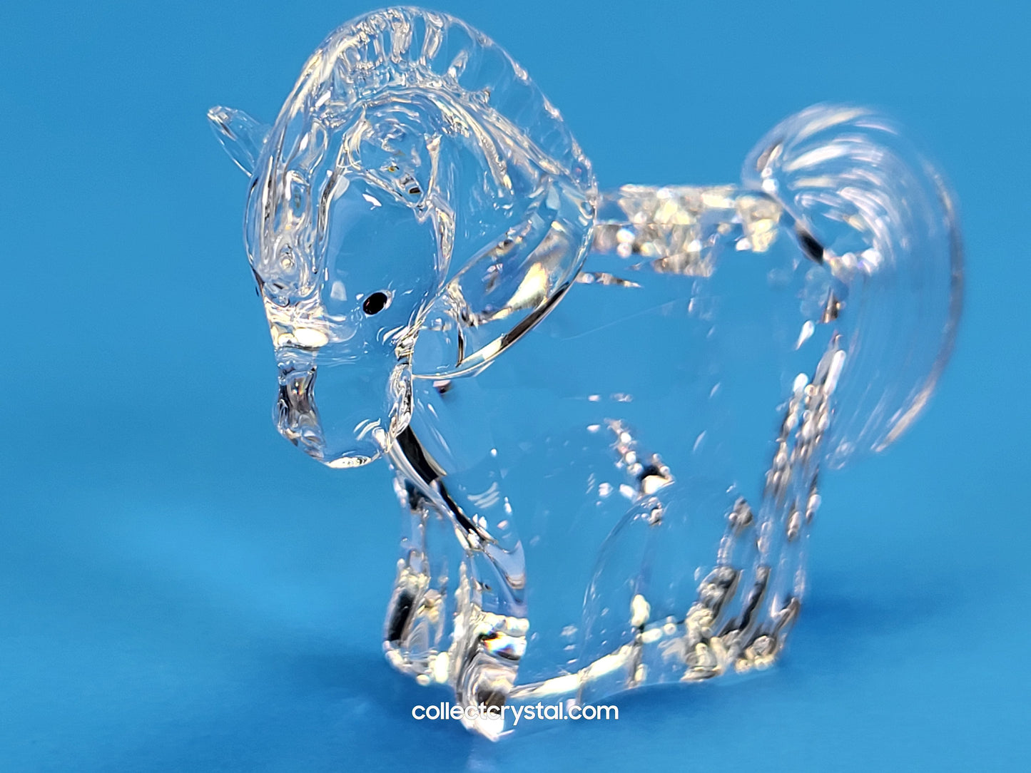ZODIAC HORSE 289908