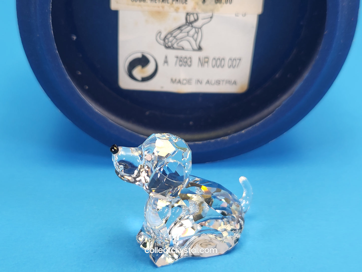 ZODIAC DOG 622843
