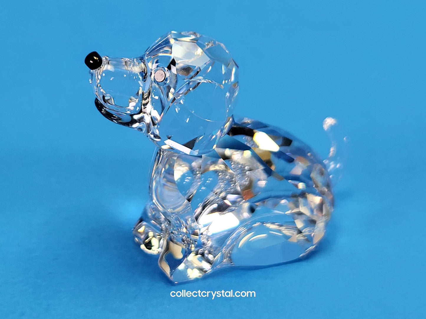 ZODIAC DOG 622843