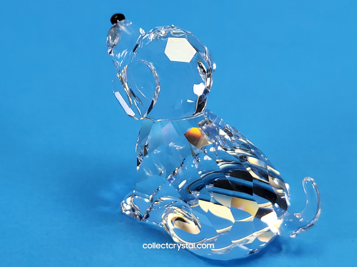 ZODIAC DOG 622843