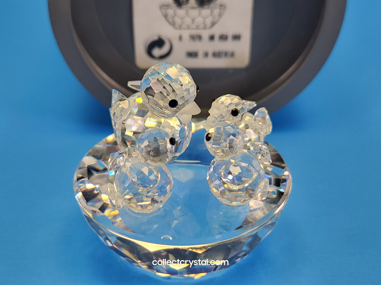 BIRD’S NEST 013842