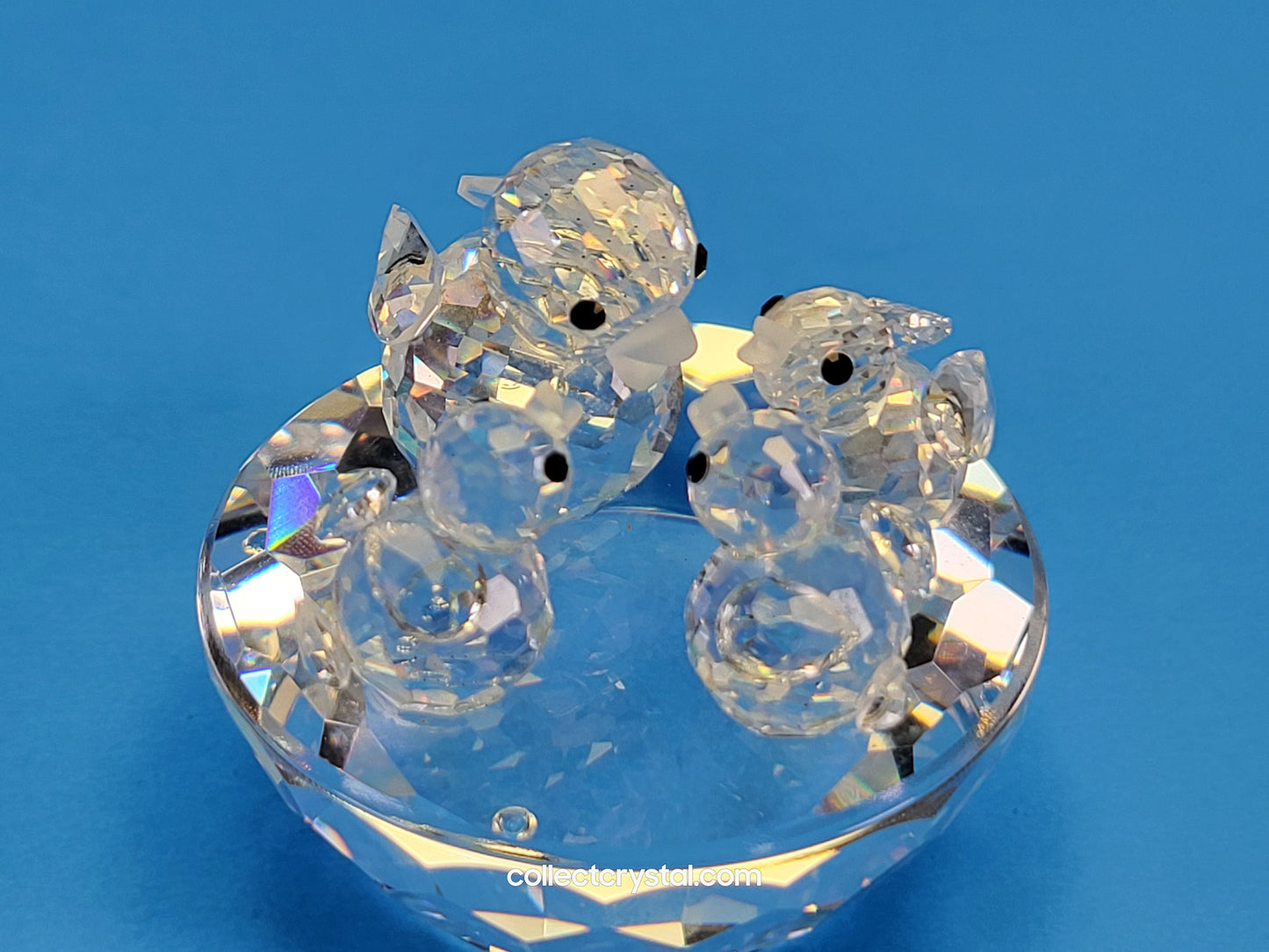 BIRD’S NEST 013842